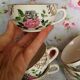 6 cups old Sarreguemines