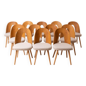 Ensemble de 12 chaises de salle à manger MidCentury par A.Šuman, rembourrage personnalisable disponible