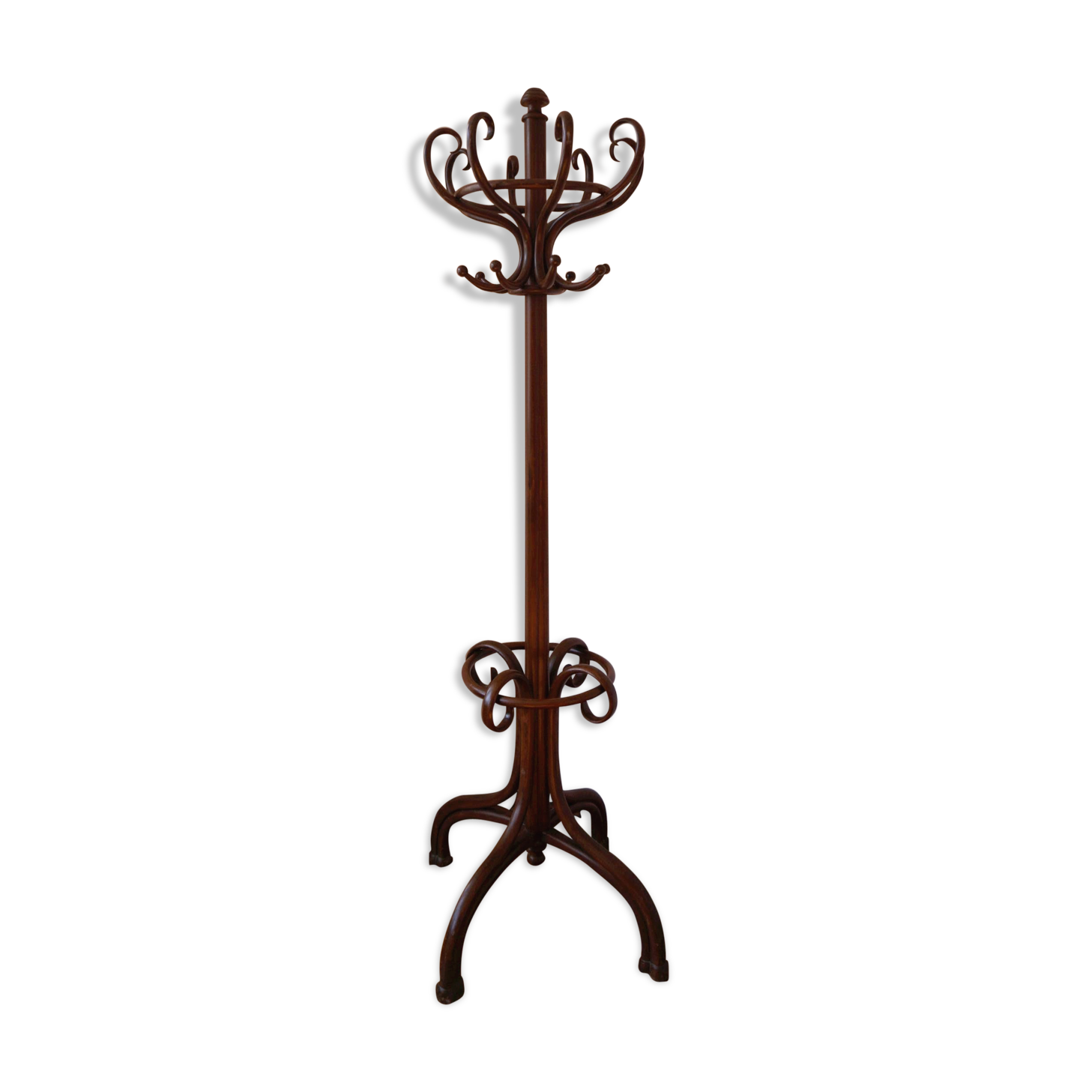 Porte-manteau perroquet de la marque Thonet