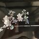 Large japanese laque box with mother-of-pearl marquetry