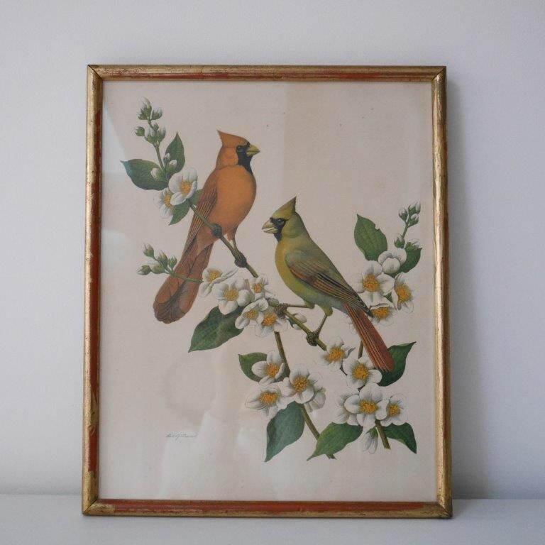 Freund bird frame