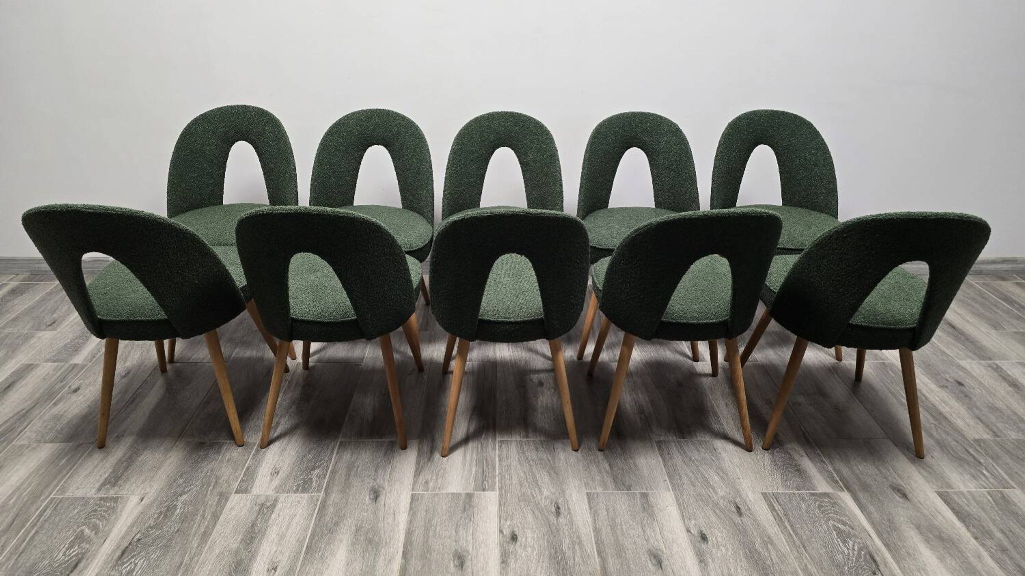 Dining Chairs by Antonin Suman, 1960s, Set of 10