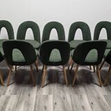 Dining Chairs by Antonin Suman, 1960s, Set of 10