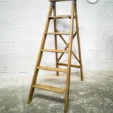 Professional stepladder