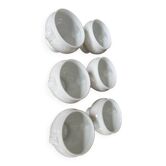 6 bols à soupe en porcelaine blanche tête de lion