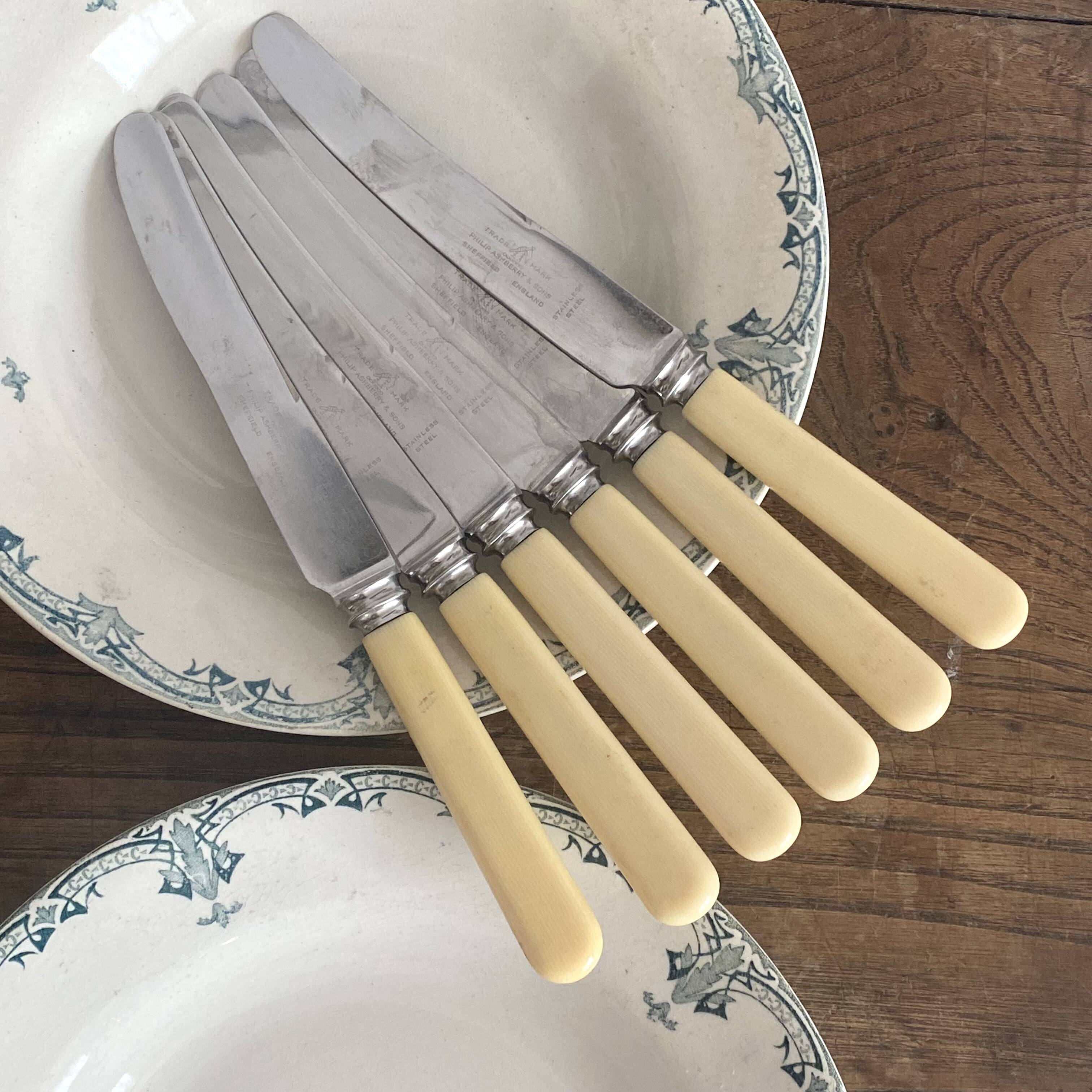 6 Philip Ashberry & Sons knives made in Sheffield England 24 cm