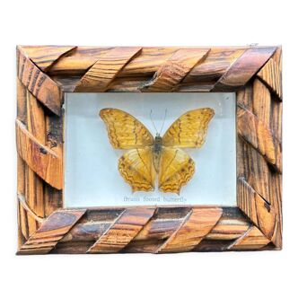 Vintage butterfly frame