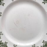 6 mismatched Saint Amand ironstone flat plates