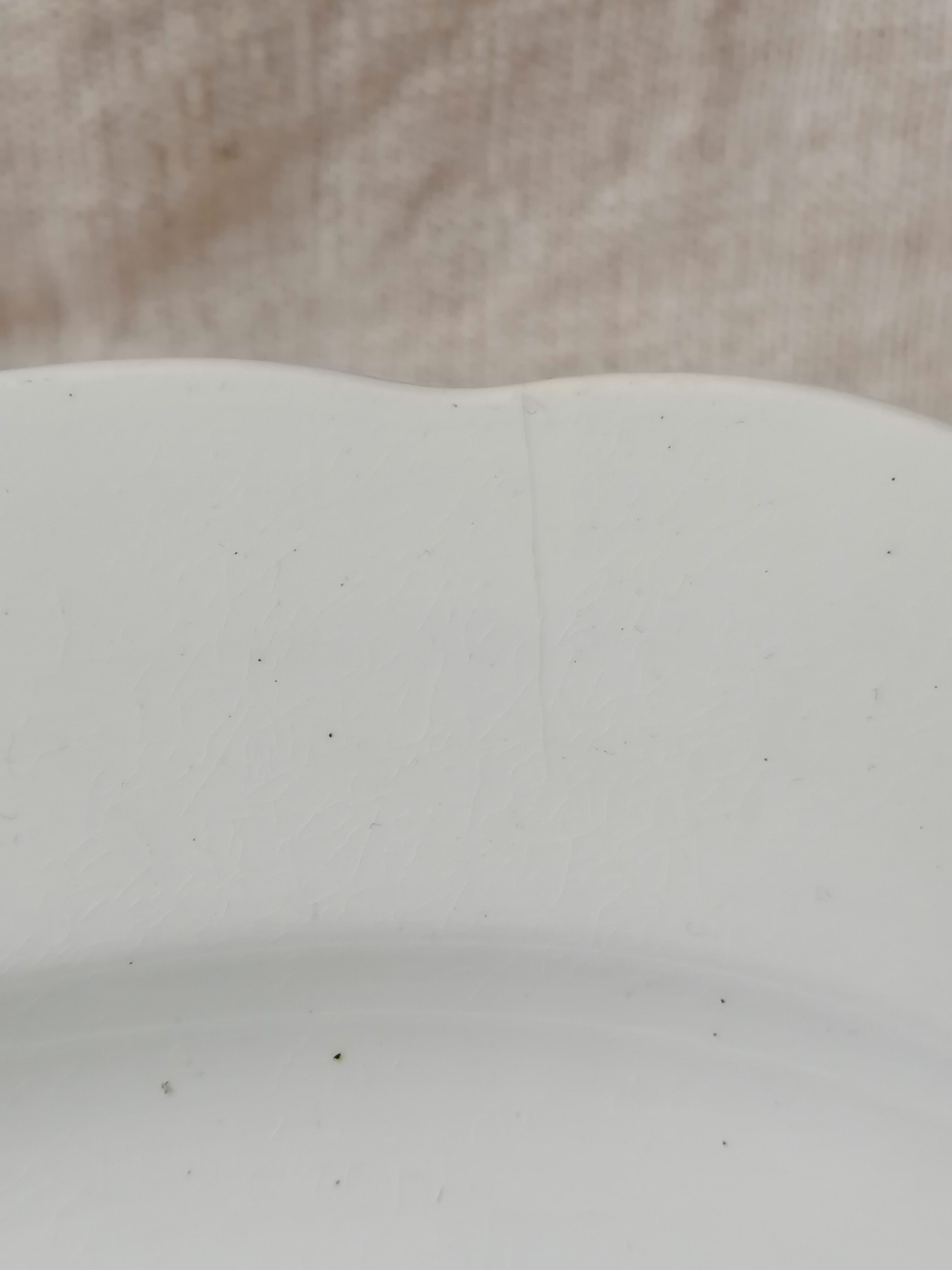 Flat and its earthenware drain Société Céramique Maastricht