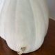 Art Deco shell wall lamp 49cm