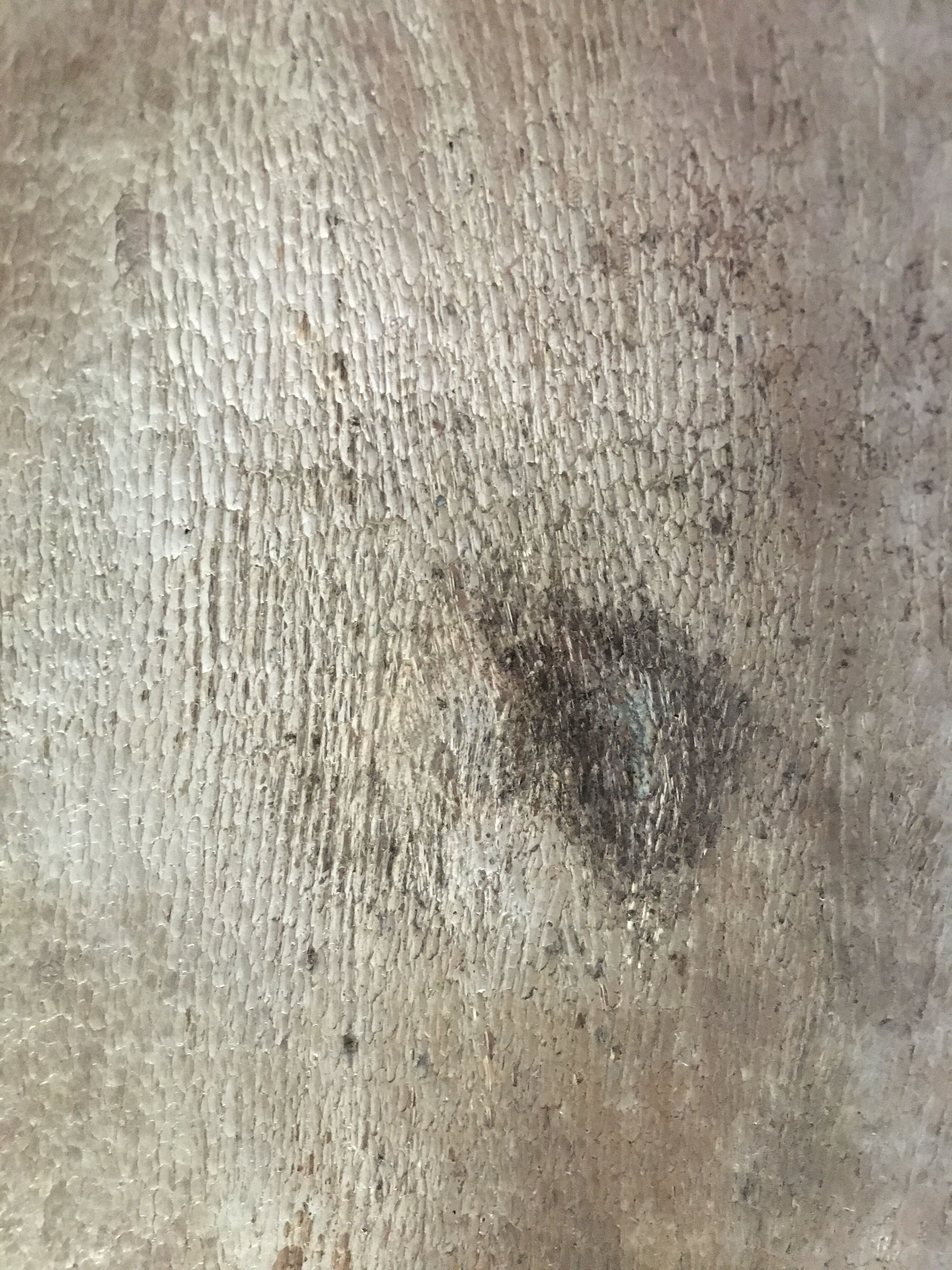 Silver metal box in crab shape