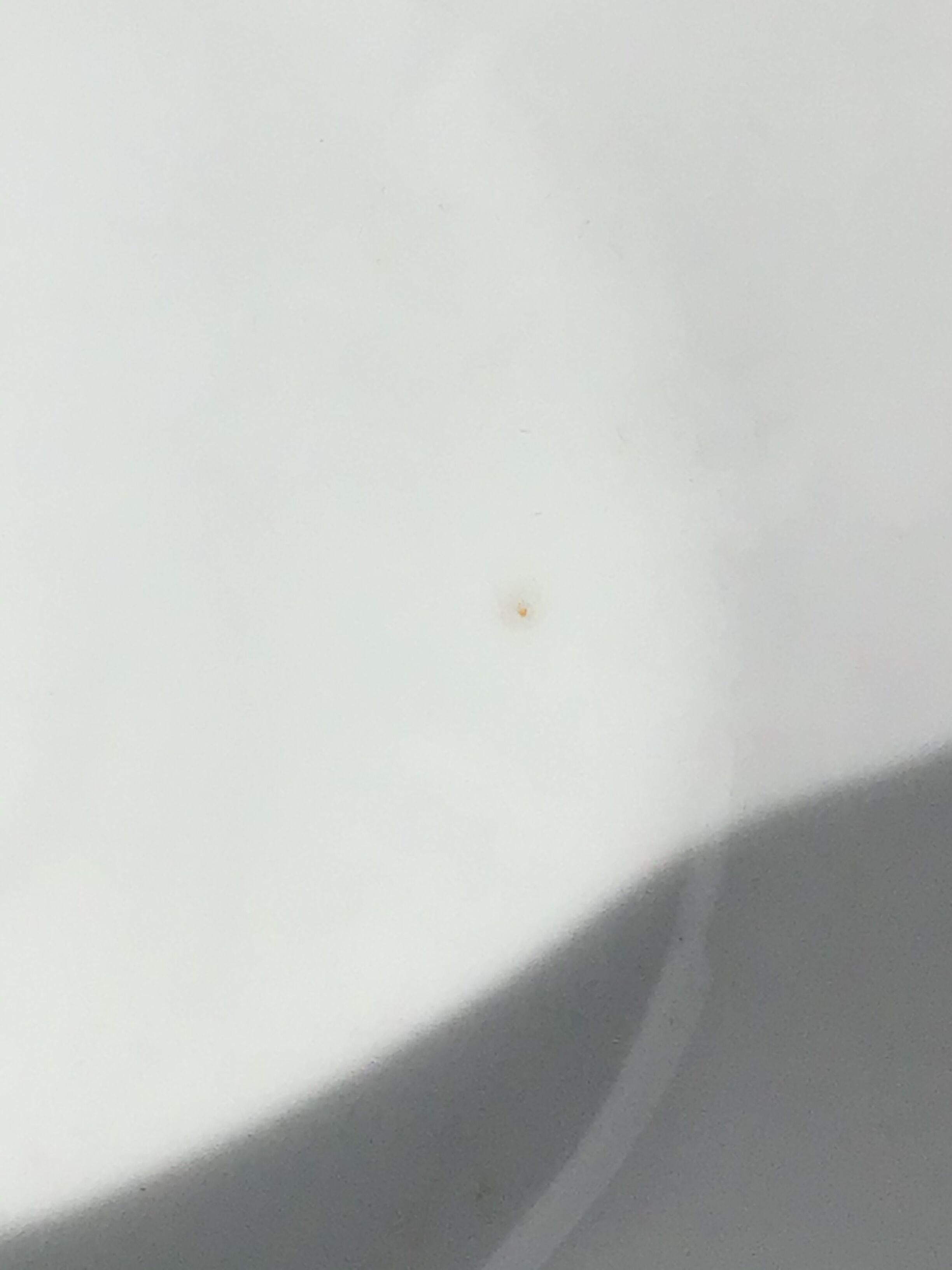 Salad bowl Art Deco porcelain silver net