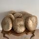 Gold lamé round velvet cushion