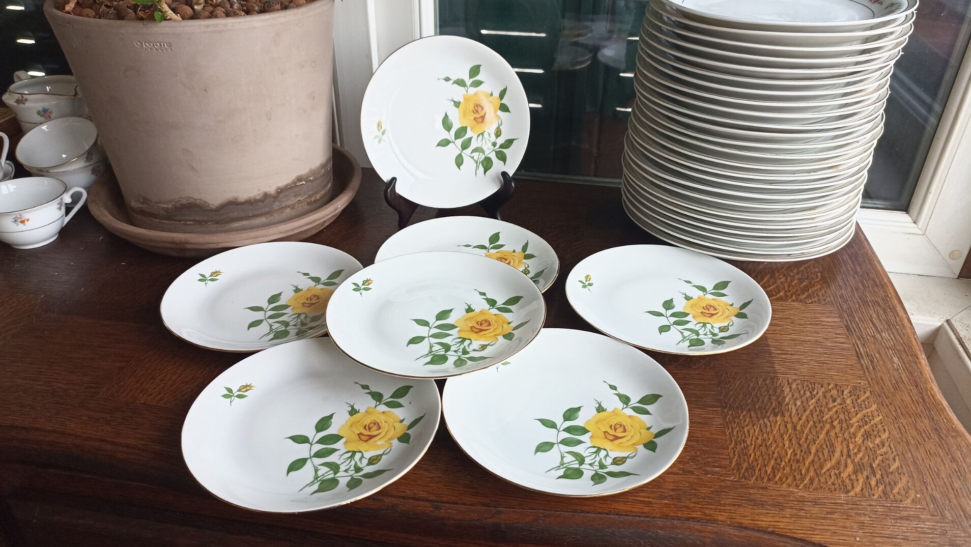 7 EPIAG Dallwitz dessert plates decorated with yellow roses