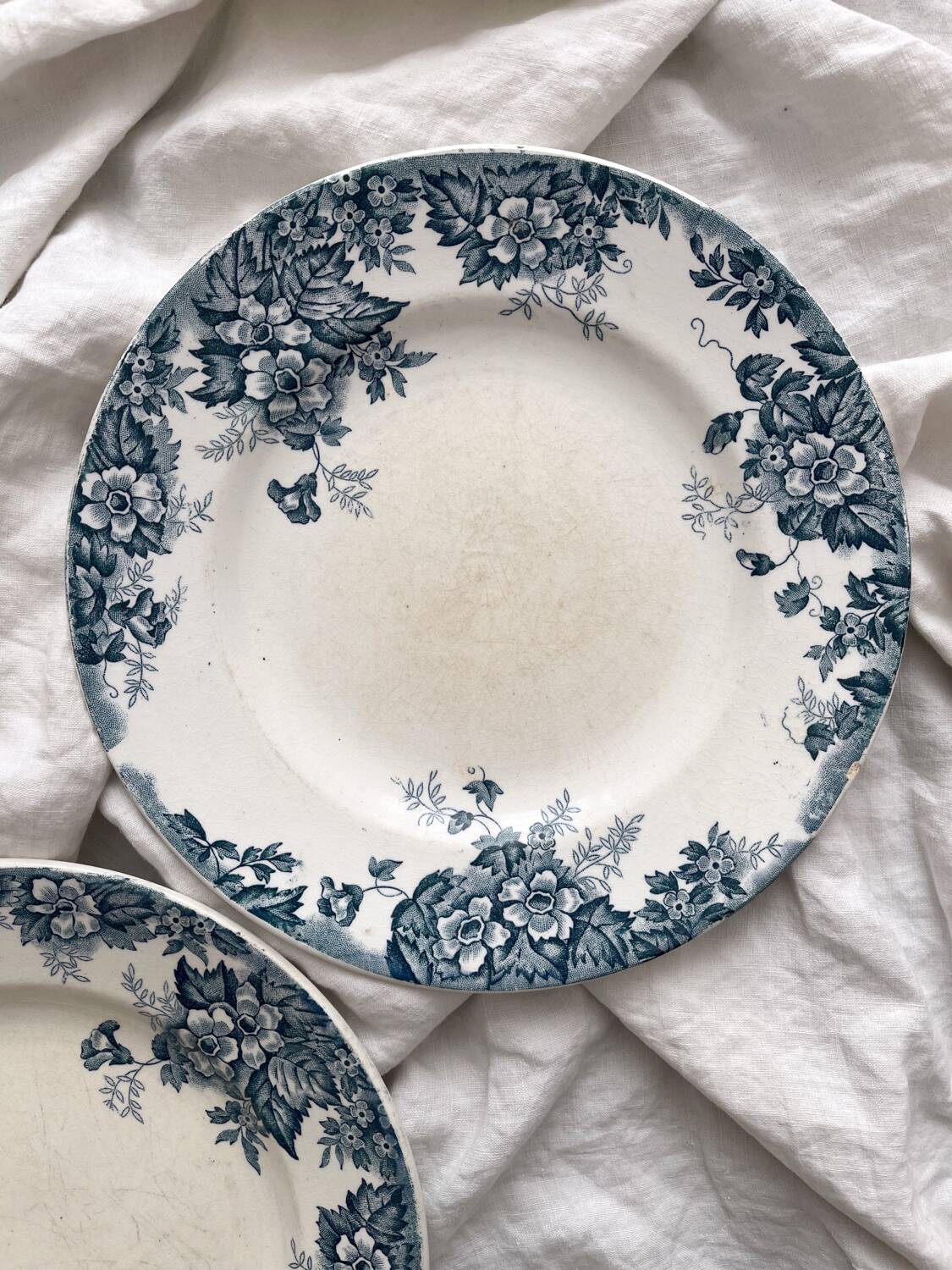 2 flat ironstone plates “Marie Louise” Saint Amand and Hamage