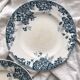 2 flat ironstone plates “Marie Louise” Saint Amand and Hamage