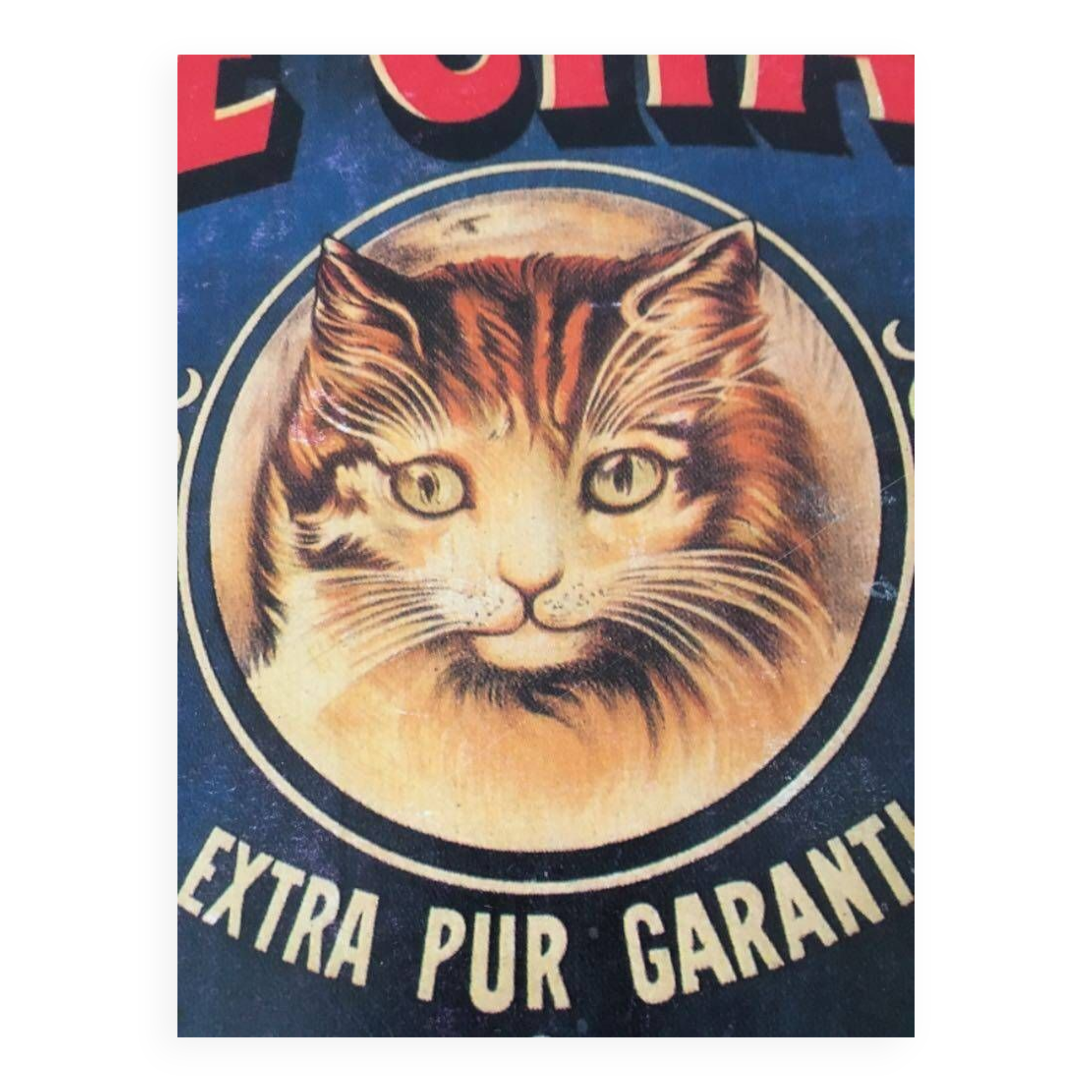 Reproduction of the "Soap the Cat" poster