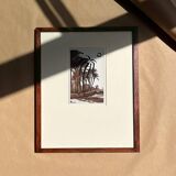 Palm - Illustration