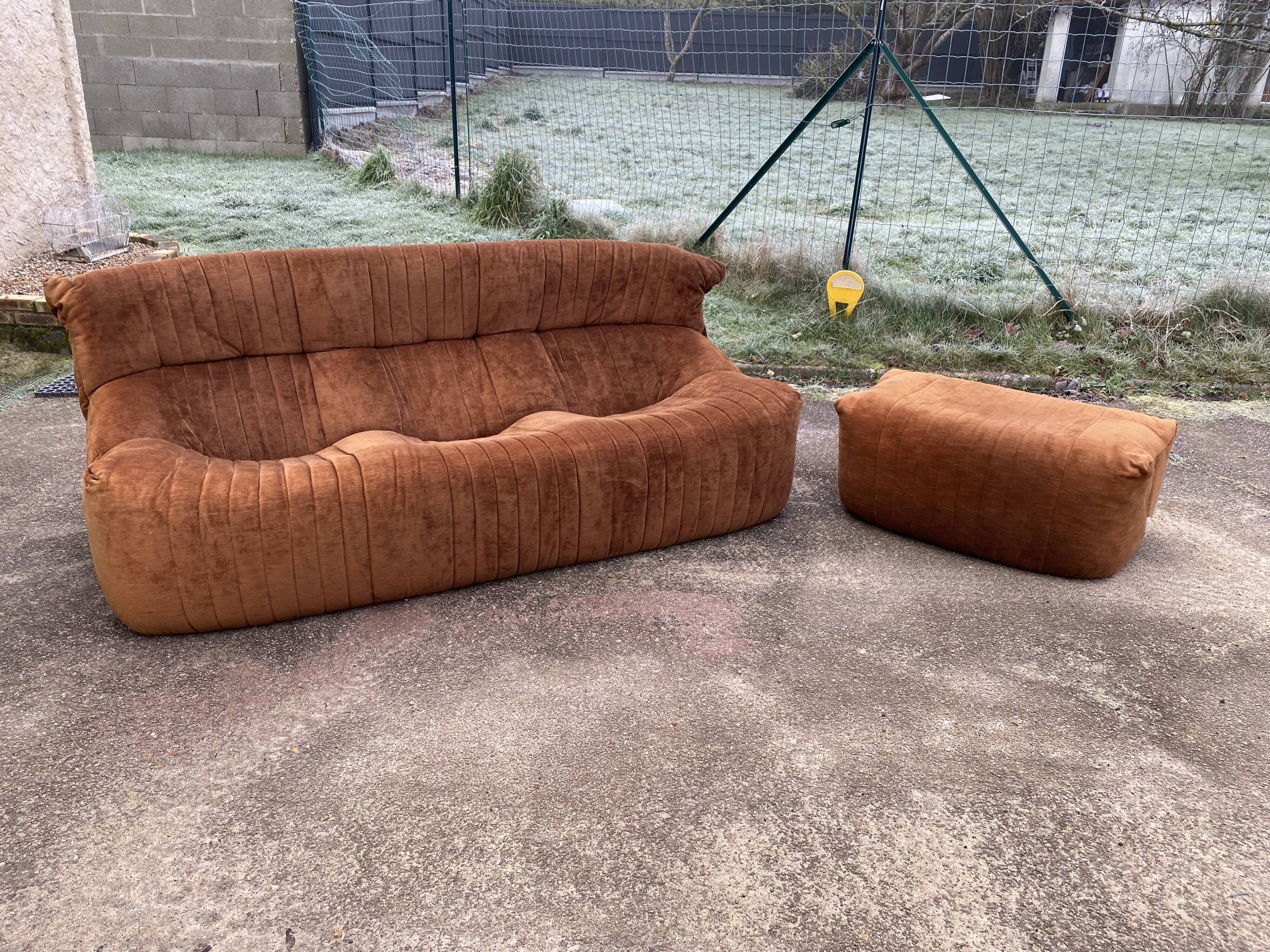 Sofa and pouf Aralia by Michel Ducaroy, Ligne Roset edition