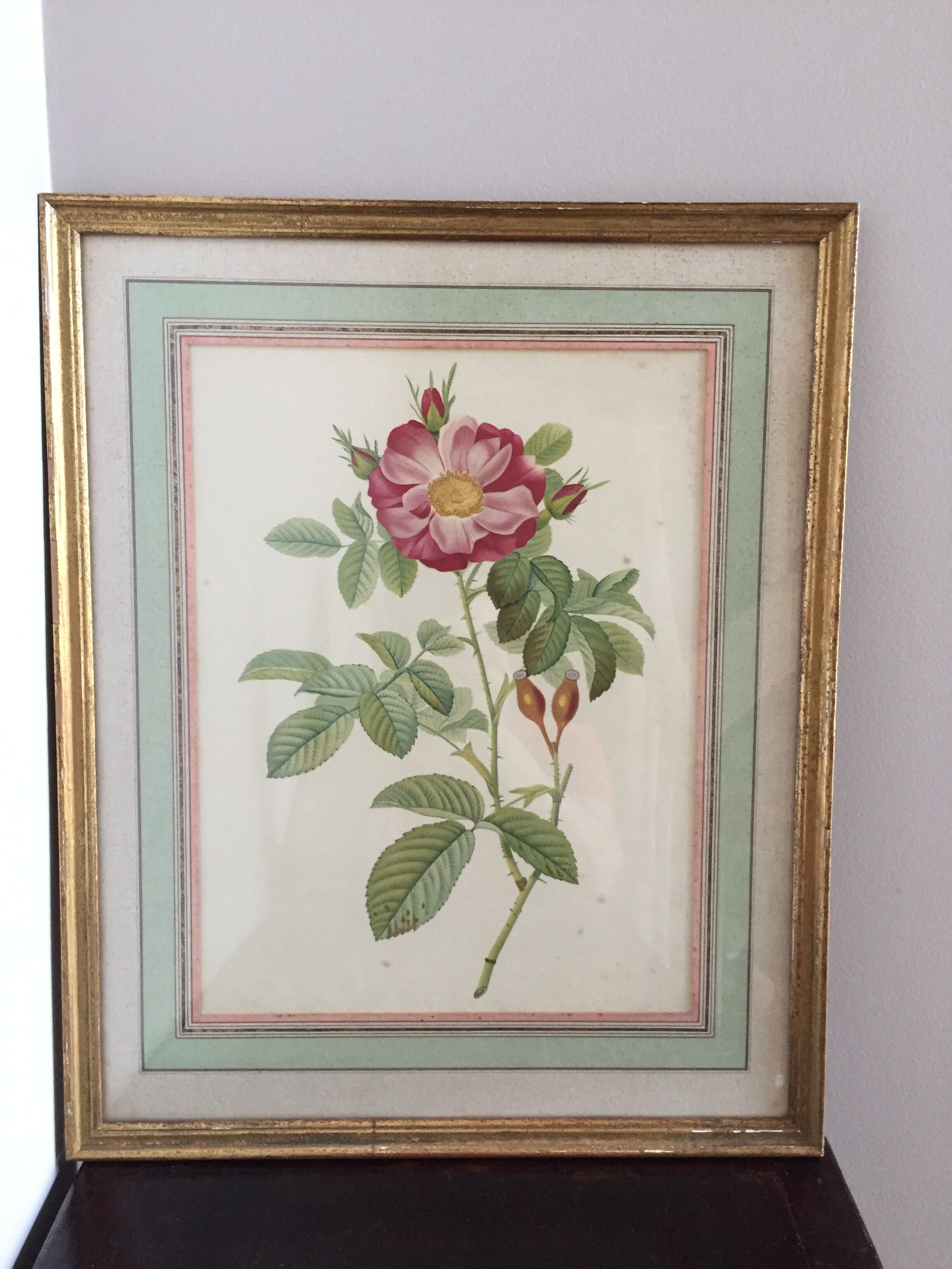 Old framed pink lithograph board