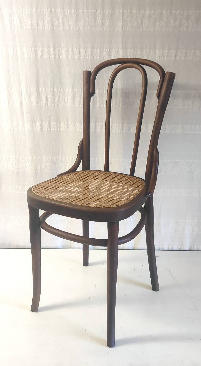Bistro chair in curved wood and canework - early 20th century