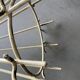 French modernist coat rack, 1950s