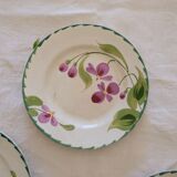Set of 3 plates St. Amand & Hamage 1896 - 1952 iron earth hand-painted floral decoration