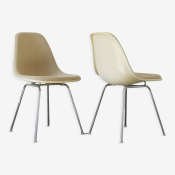 Chaises DSX Side Chair par Charles & Ray Eames pour Herman Miller, 1960s