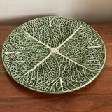 Large cabbage plate