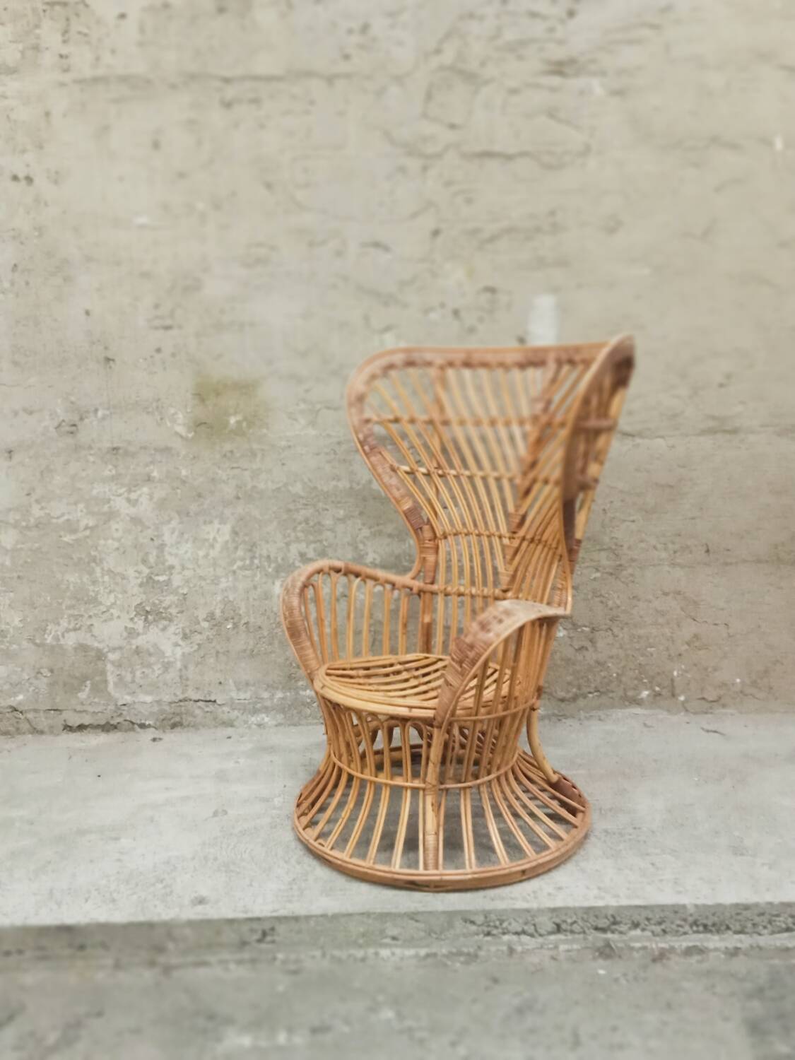 Gio Ponti Lio Carminati Bonacina armchair