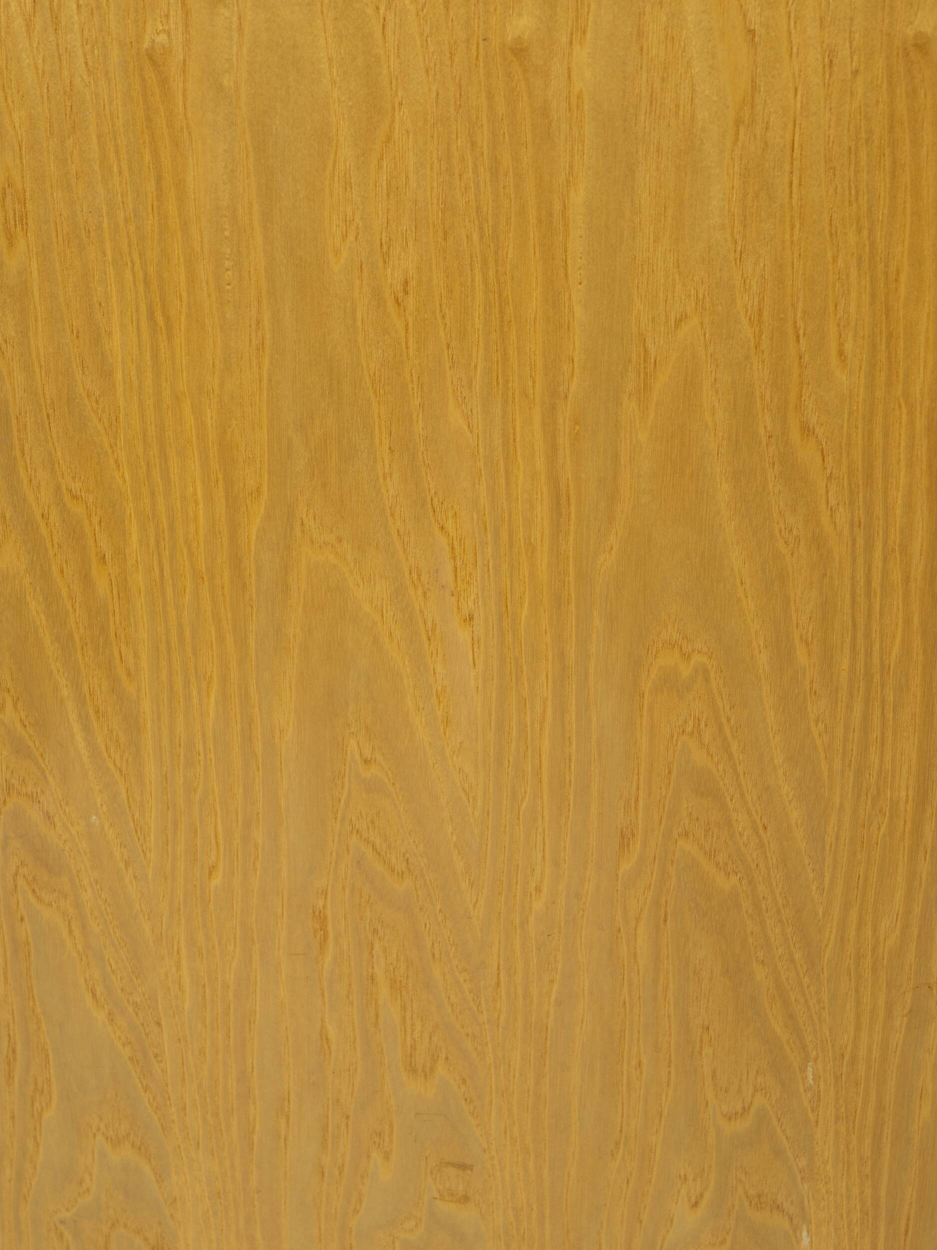 Samara Wardrobe by Derk Jan de Vries, The Netherlands, 1960s