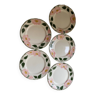 Villeroy & Boch dessert plates