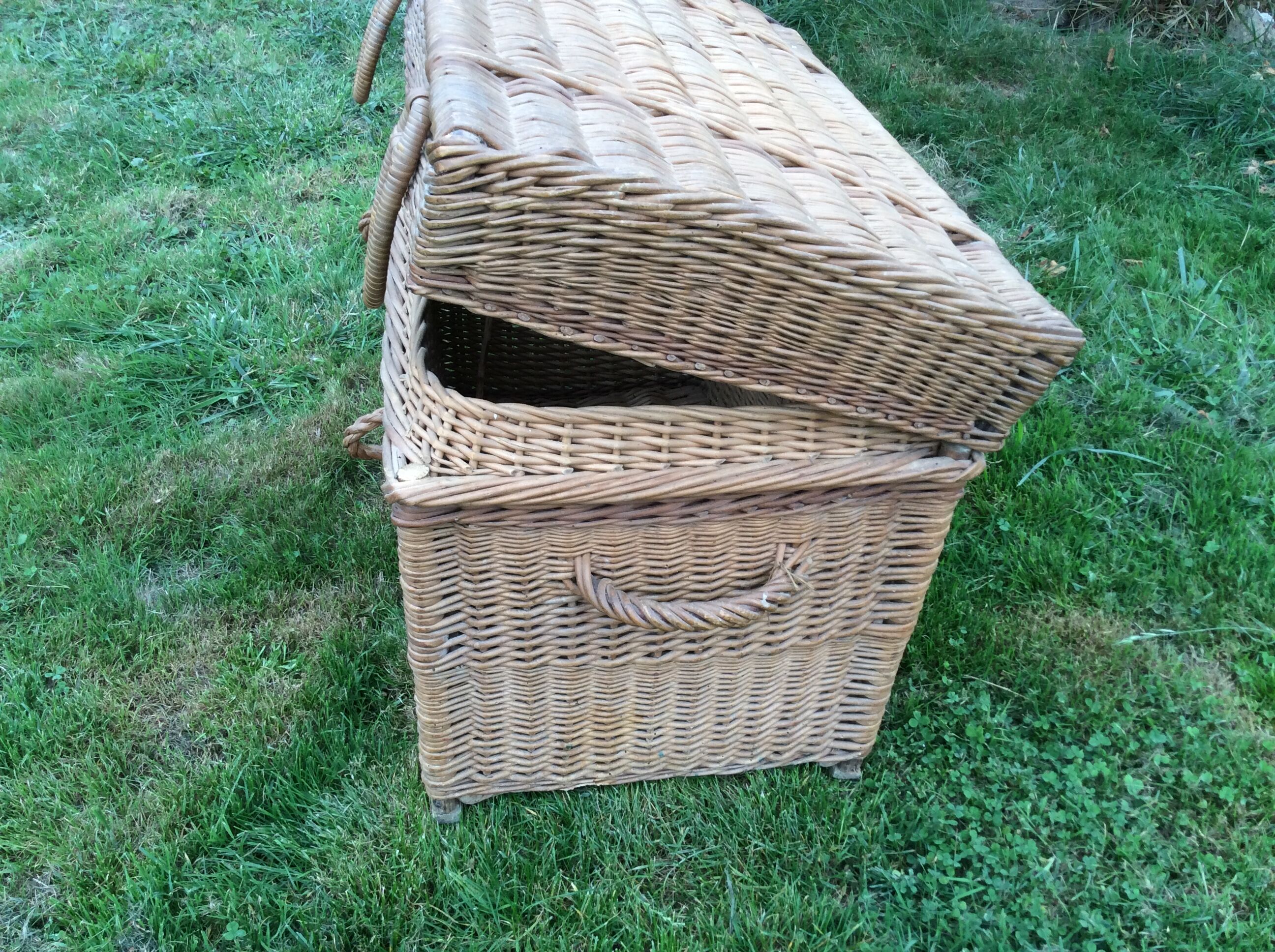 Vintage travel trunks