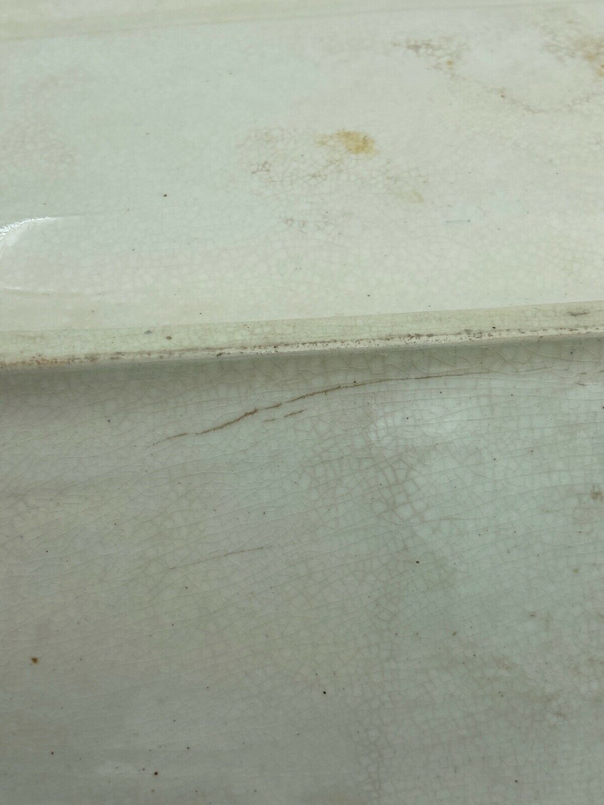 Asparagus dish in slurry longchamp