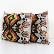 Pair of cushions