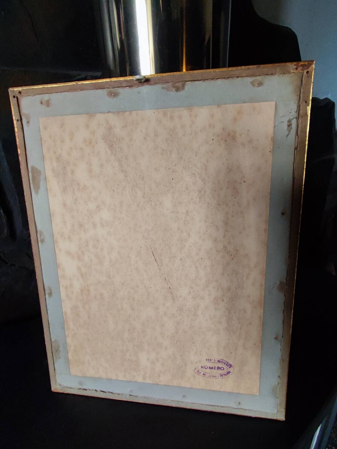 Colorized engraving, Loriot Jonquille, 19th century