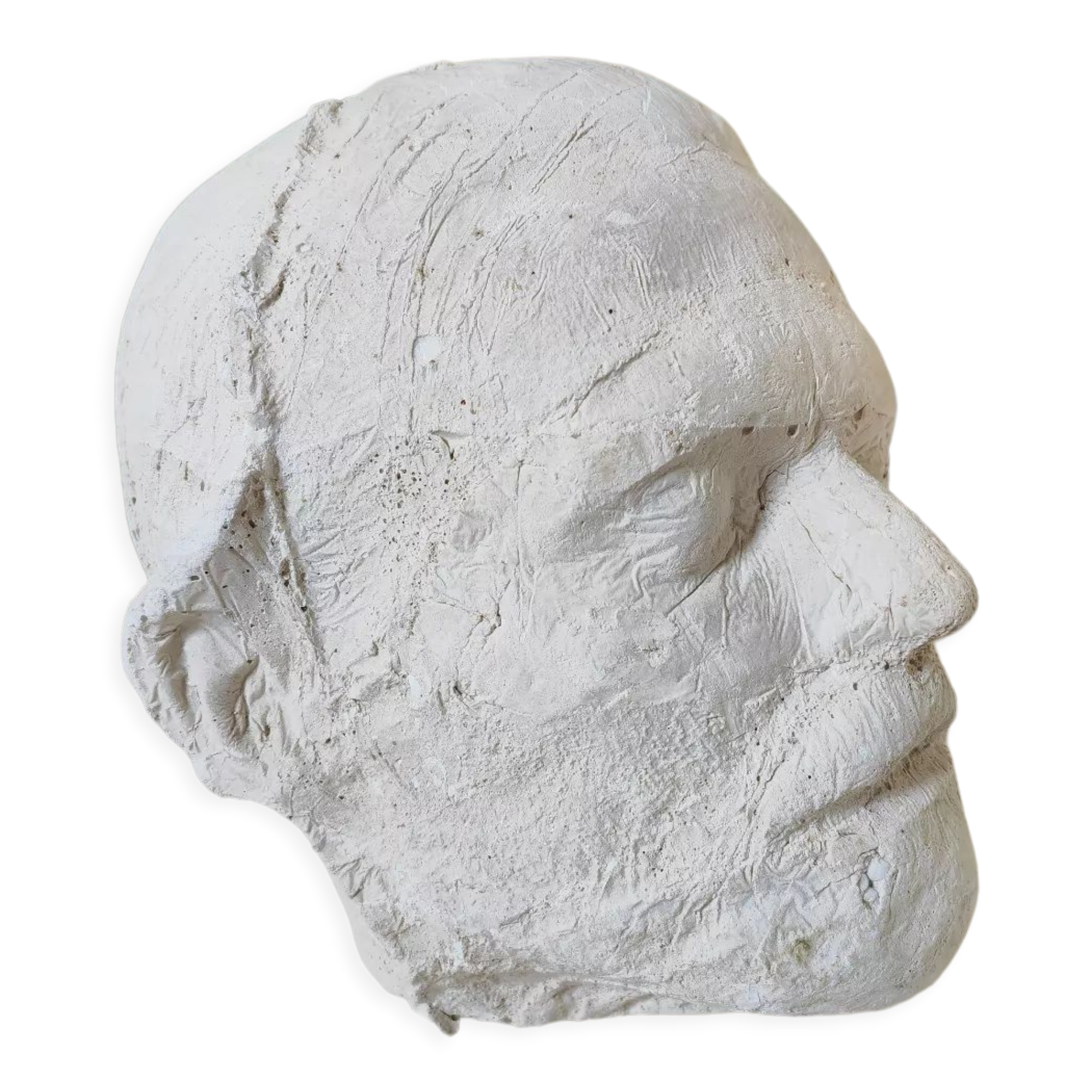 Signed plaster head