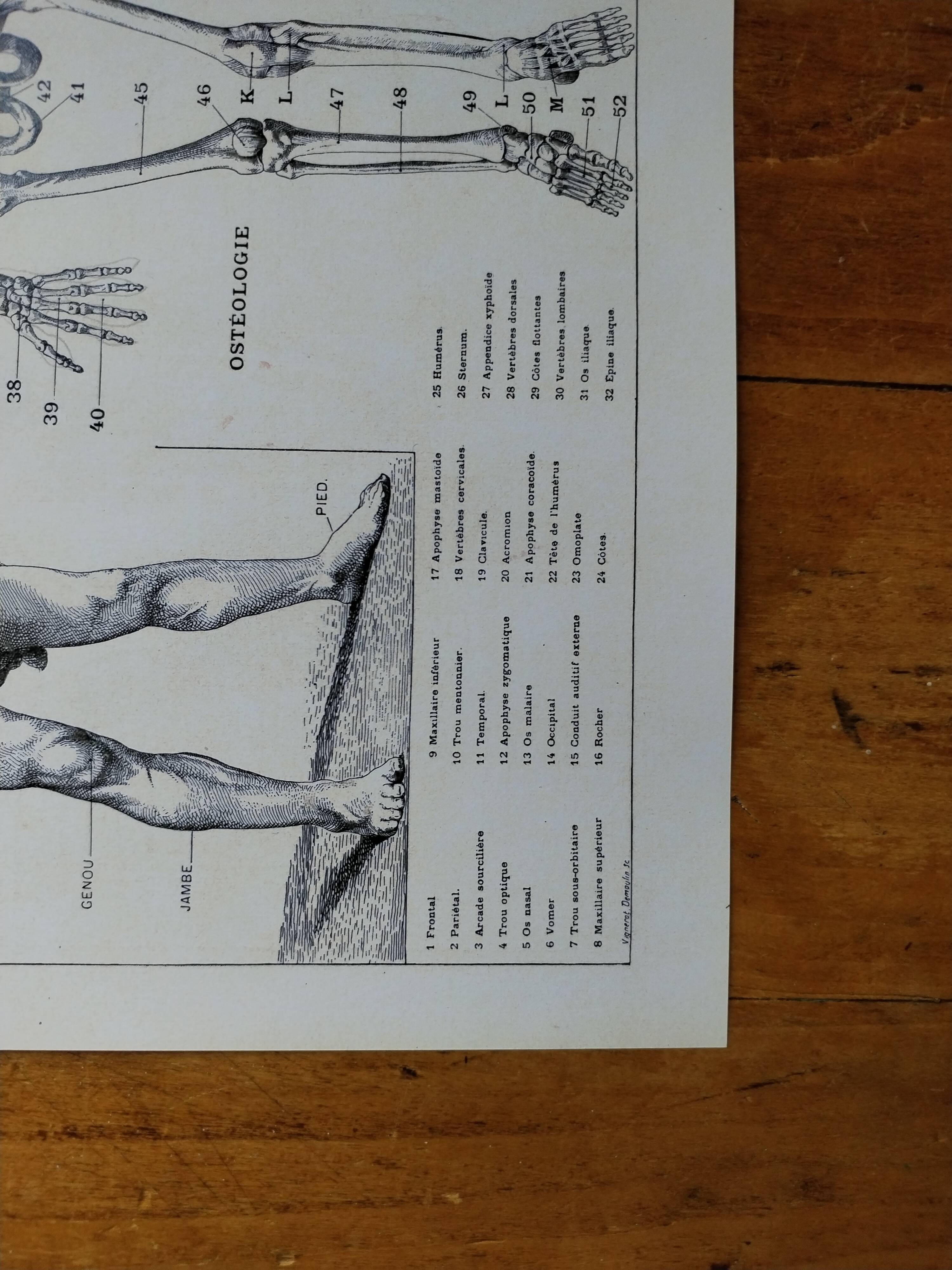 Original lithograph on Man