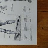 Original lithograph on Man