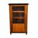 Biedermeier Bookcase in Walnut & Glass, Austria, 1825