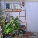 Vintage wooden picking ladder 7 rungs