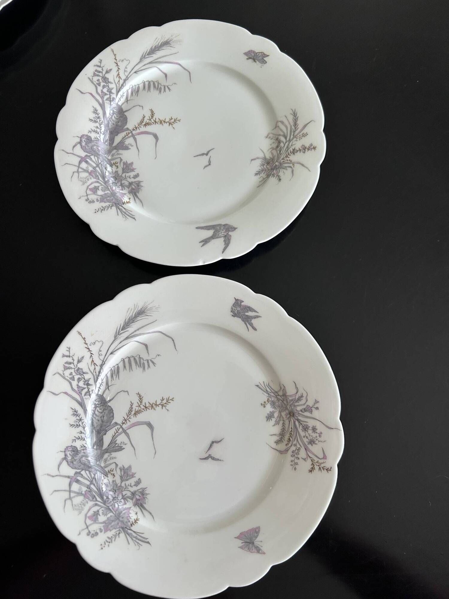 8 porcelain plates and 1 dish CH Pillivuyt & Cie