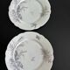 8 porcelain plates and 1 dish CH Pillivuyt & Cie