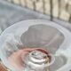 Set of 12 Daum crystal wine glasses, Orval model - 11cm - gift box