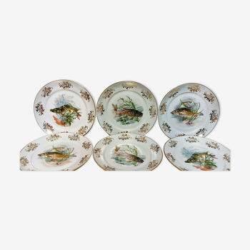 Lot de 6 assiettes décor poisson en porcelaine