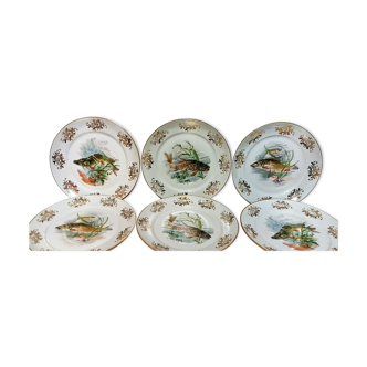 Lot de 6 assiettes décor poisson en porcelaine