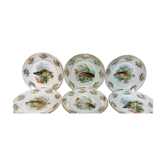 Lot of 6 plates decorated with porcelain fish