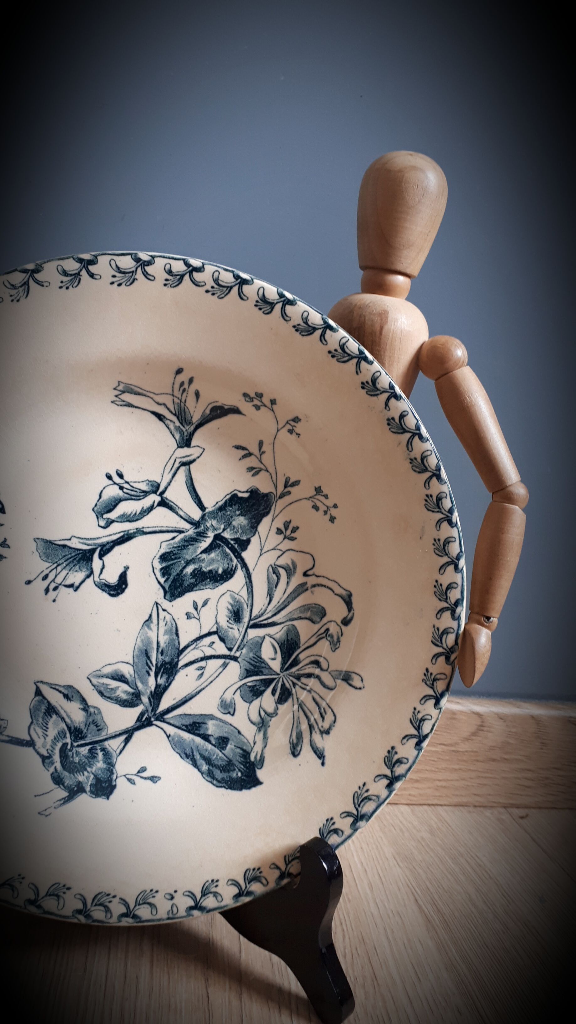 Chevrefeuille Terre de fer plate