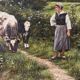 The well-kept cows, landscape, oil on canvas signed.