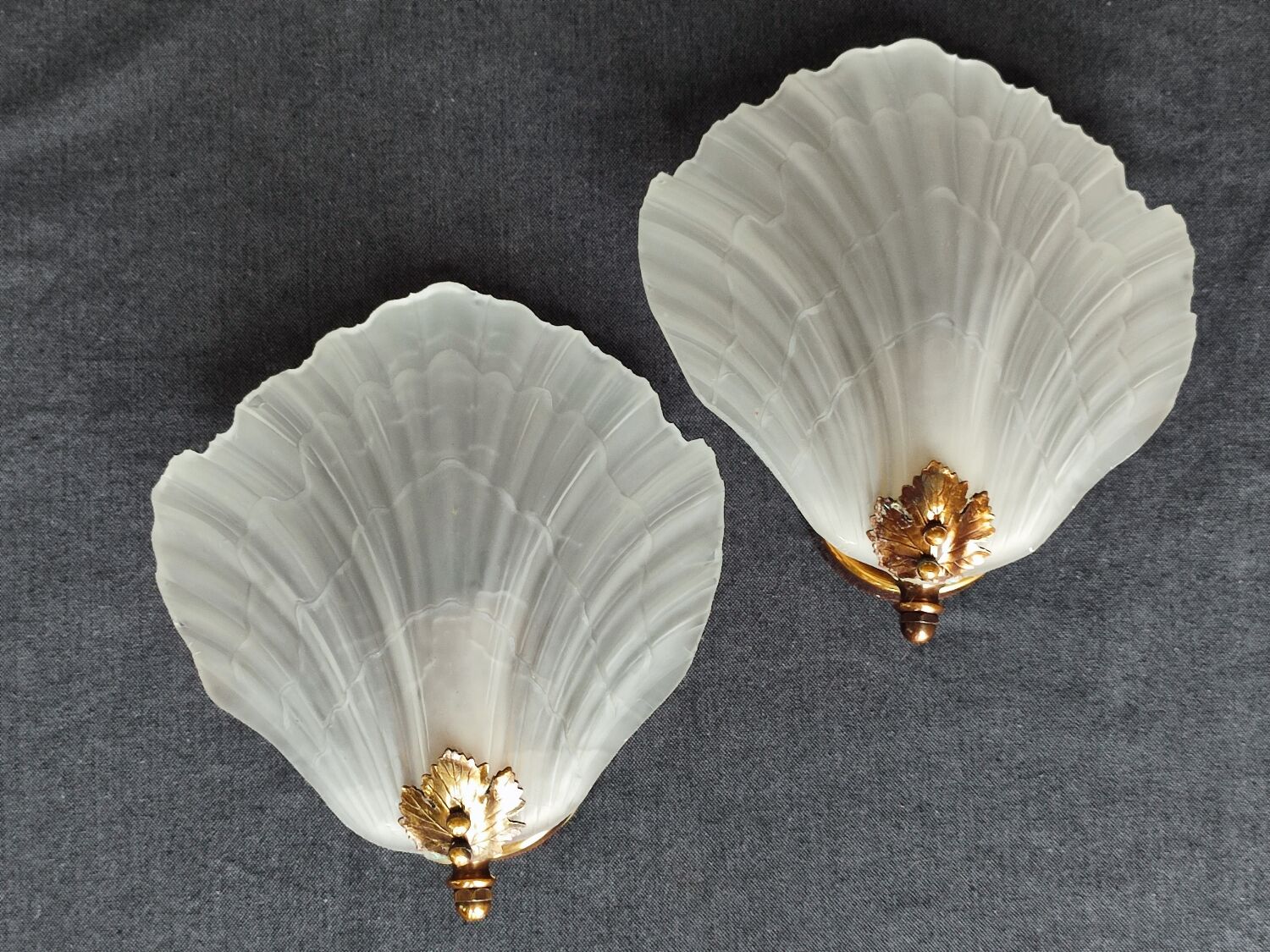 Pair of vintage shell wall lamp